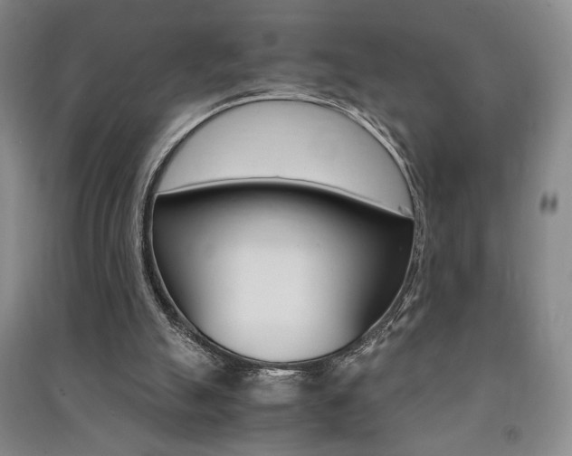 X0000091490055200708161219