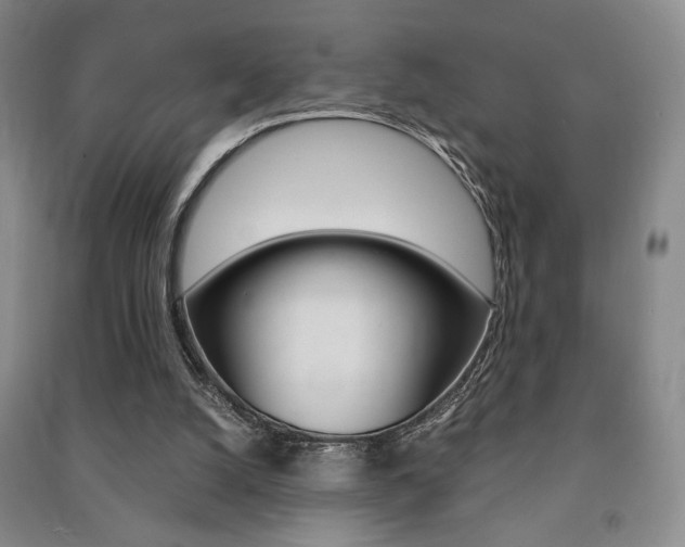 X0000091490056200708161219
