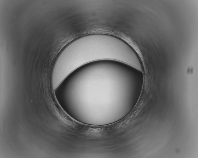 X0000091490057200708161219