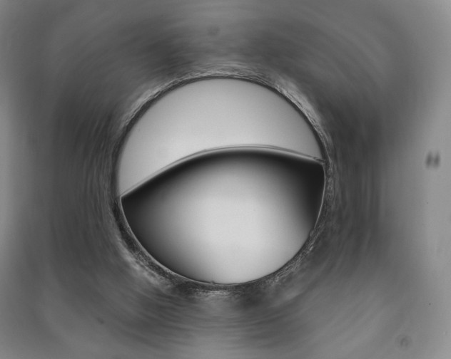X0000091490058200708161219