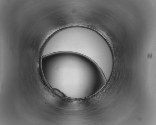X0000091490060200708161219