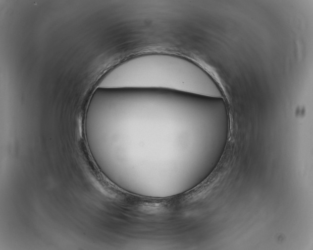 X0000091490061200708161219