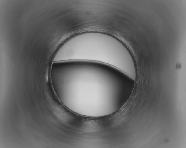 X0000091490062200708161219