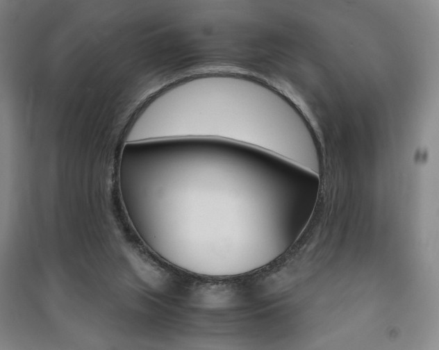 X0000091490063200708161219