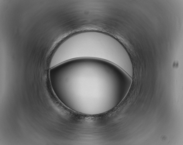 X0000091490064200708161219