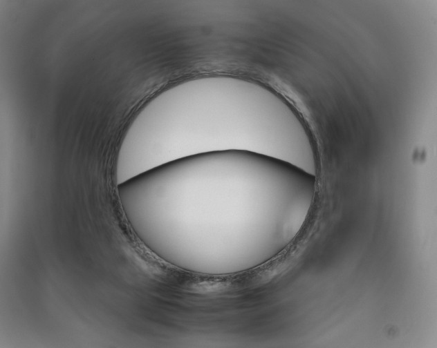X0000091490065200708161219