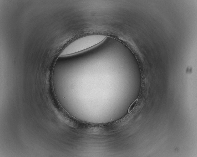 X0000091490066200708161219