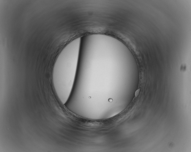 X0000091490069200708161219