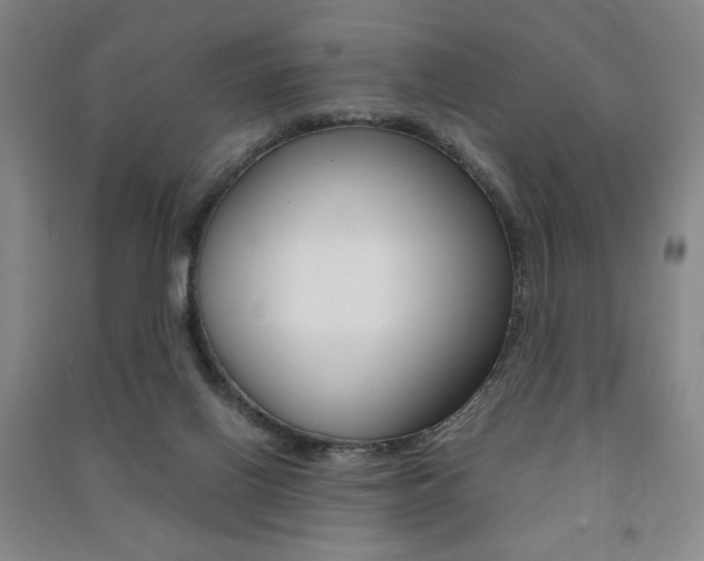 X0000091490070200708161219