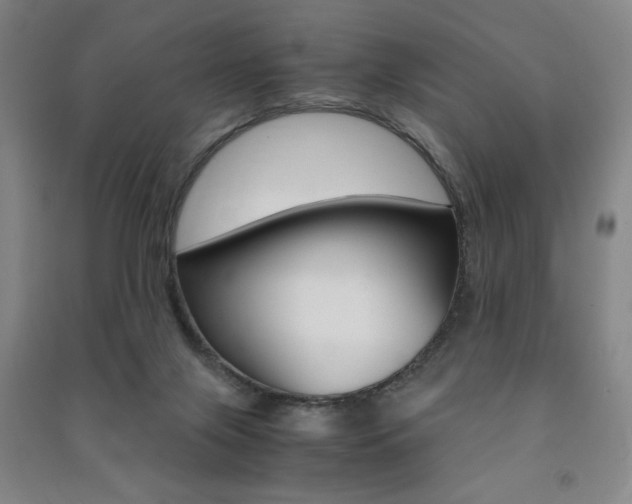 X0000091490071200708161219