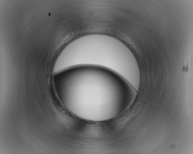 X0000091490072200708161219