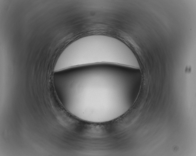 X0000091490073200708161219
