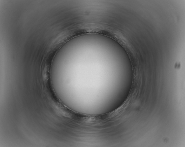 X0000091490074200708161219