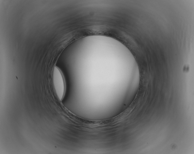 X0000091490075200708161219