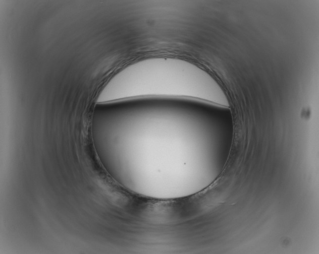X0000091490078200708161219