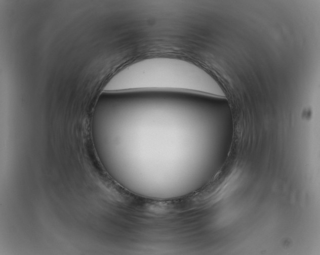 X0000091490079200708161219