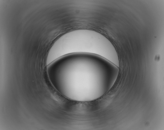 X0000091490080200708161219