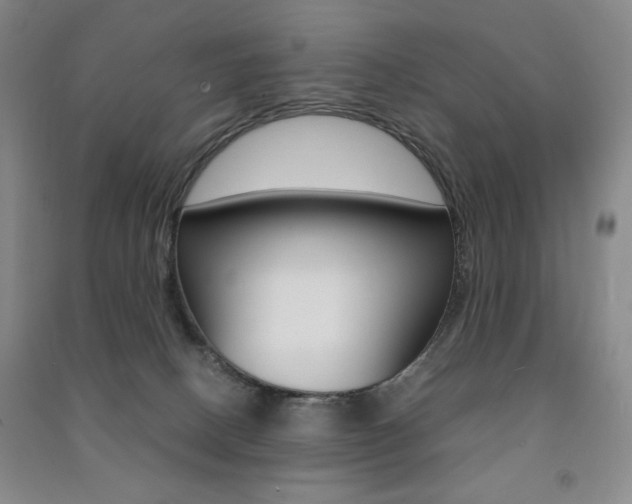X0000091490082200708161219
