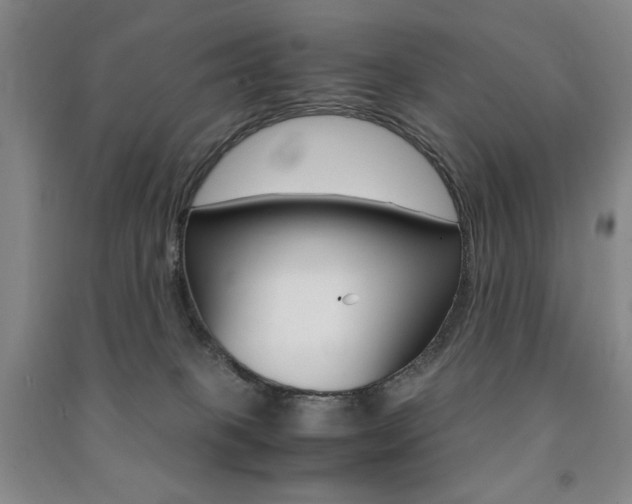 X0000091490085200708161219