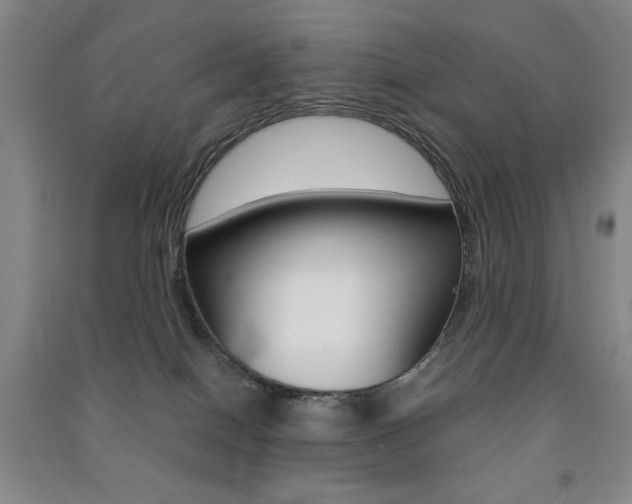 X0000091490086200708161219