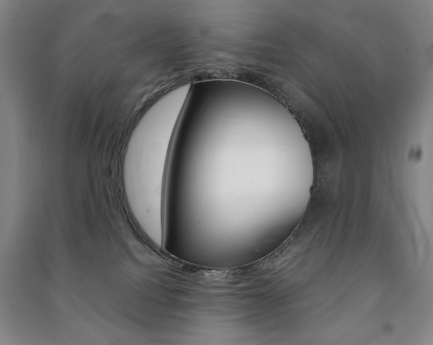 X0000091490088200708161219
