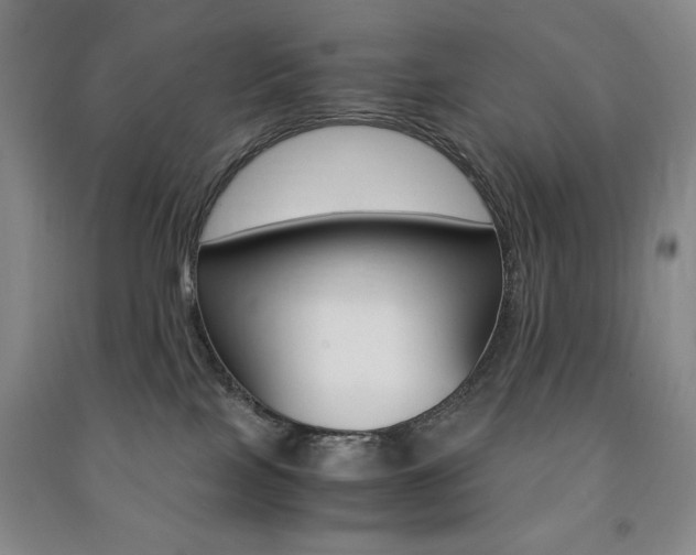 X0000091490089200708161219