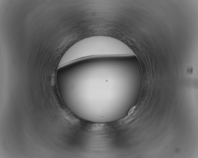 X0000091490090200708161219