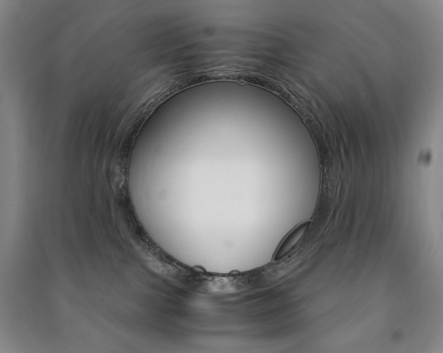 X0000091490091200708161219