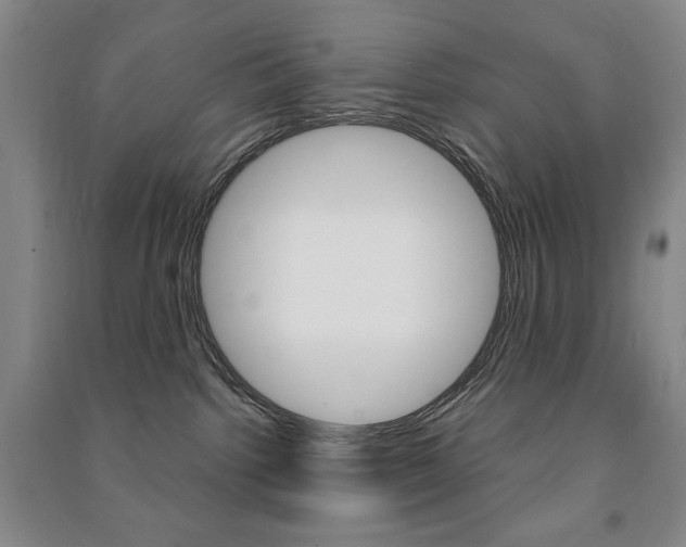 X0000091490092200708161219