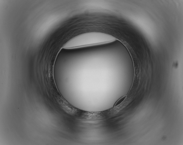 X0000091490093200708161219