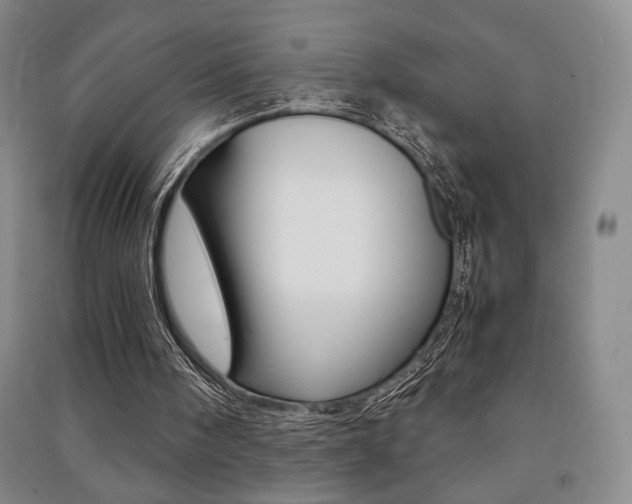 X0000091490098200708161219