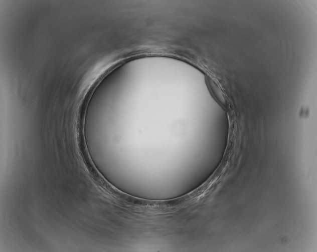 X0000091490103200708161219