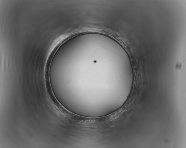 X0000091490104200708161219