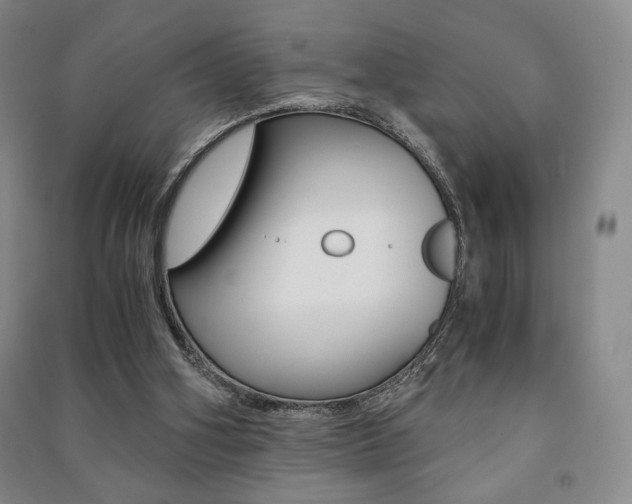 X0000091490106200708161219