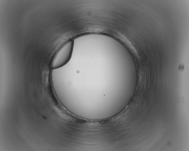 X0000091490110200708161219