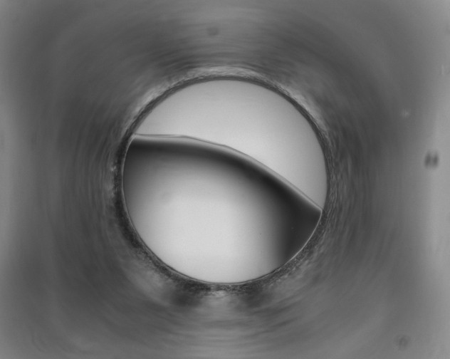 X0000091490111200708161219