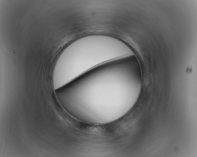 X0000091490115200708161218