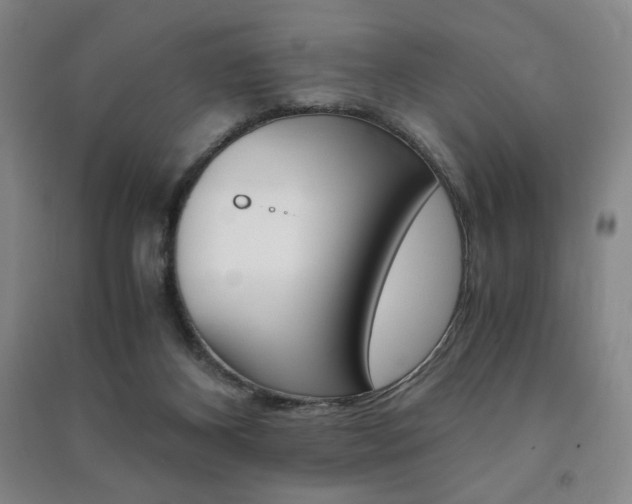 X0000091490116200708161218