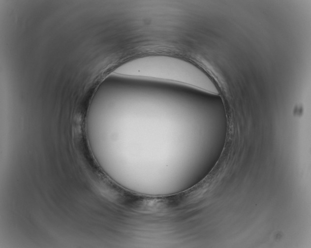 X0000091490117200708161218