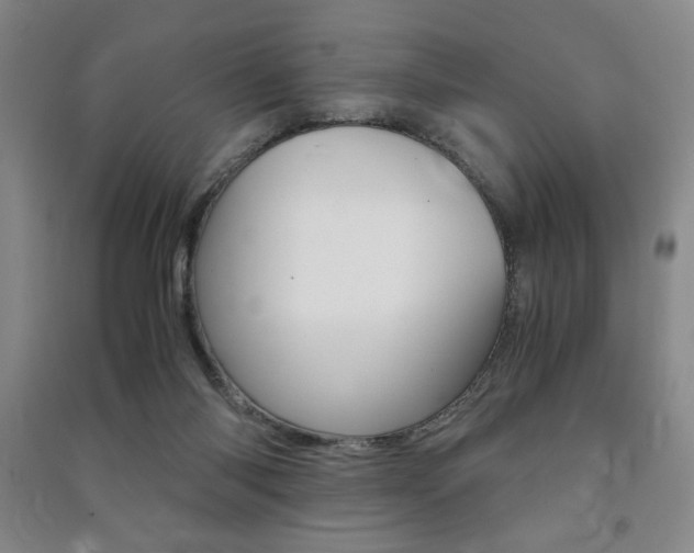 X0000091490118200708161218