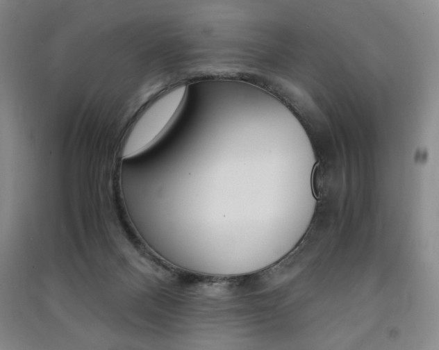 X0000091490120200708161218