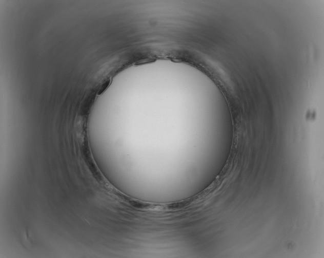 X0000091490121200708161218