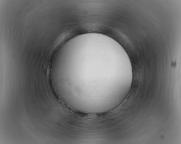 X0000091490124200708161218