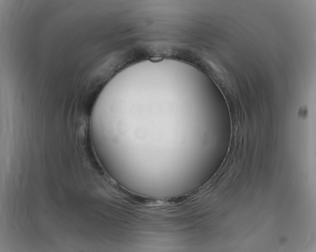 X0000091490125200708161218