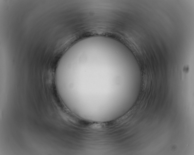 X0000091490126200708161218