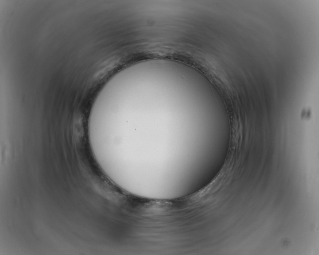 X0000091490128200708161218