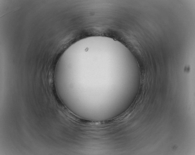 X0000091490131200708161218