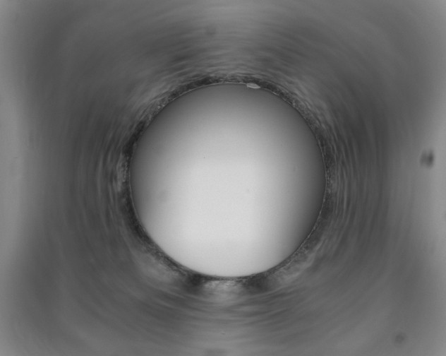X0000091490133200708161218
