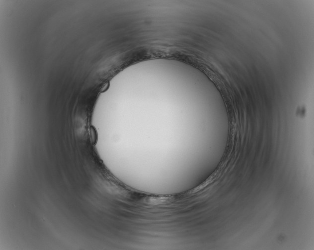 X0000091490134200708161218