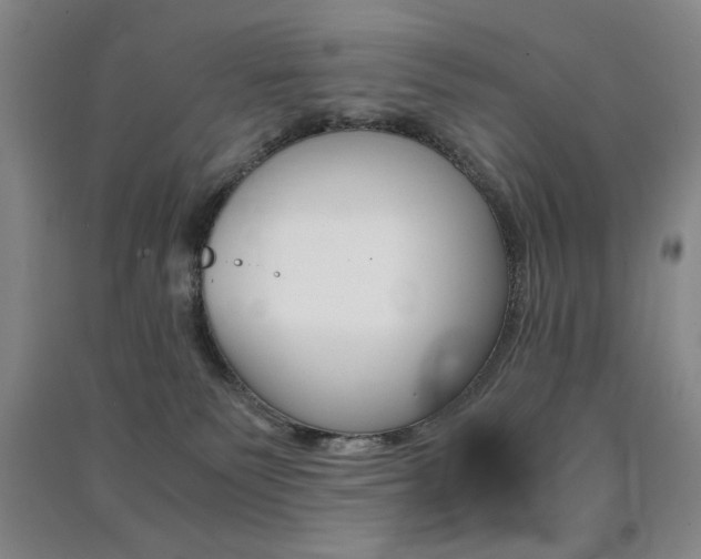 X0000091490135200708161218